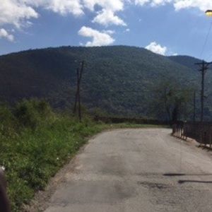 Meet your Posher, Ramone